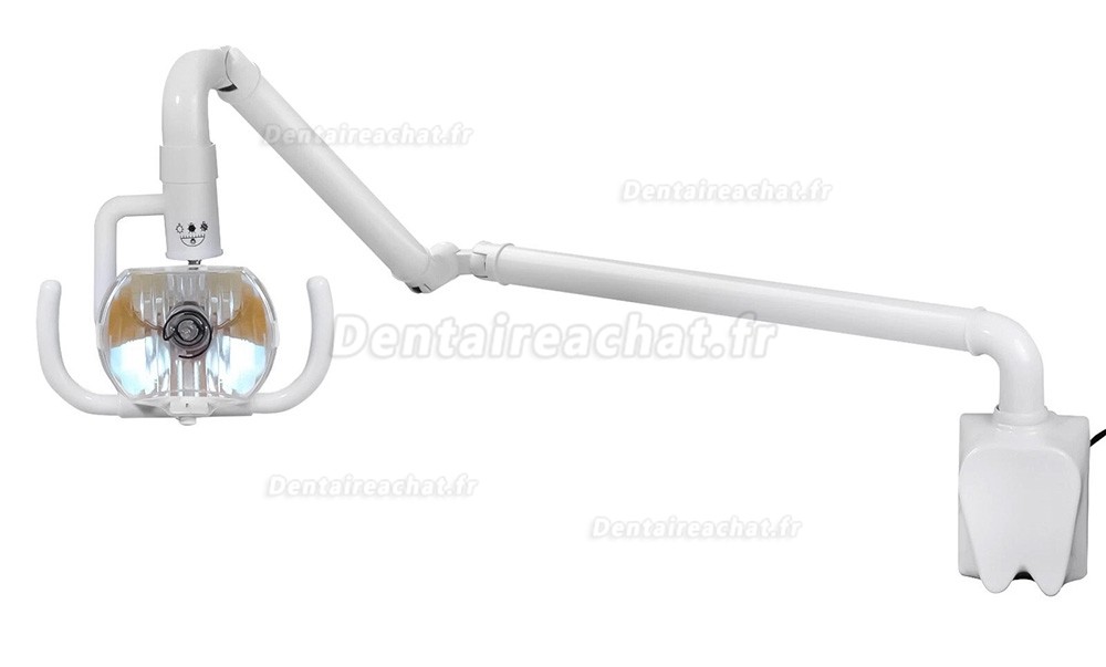Lampe buccale &agrave; lumi&egrave;re froide murale dentaire 50 W, lampe d'examen dentaire